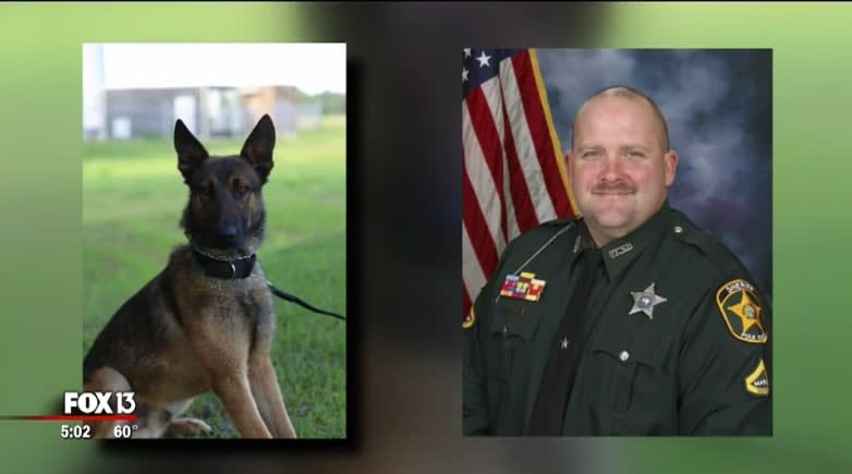 Video: Florida Deputy Kills Partner's K-9 to End Attack