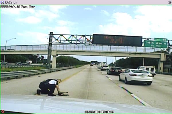 Florida Officer Rescues Dog Struck by Car on Interstate Freeway