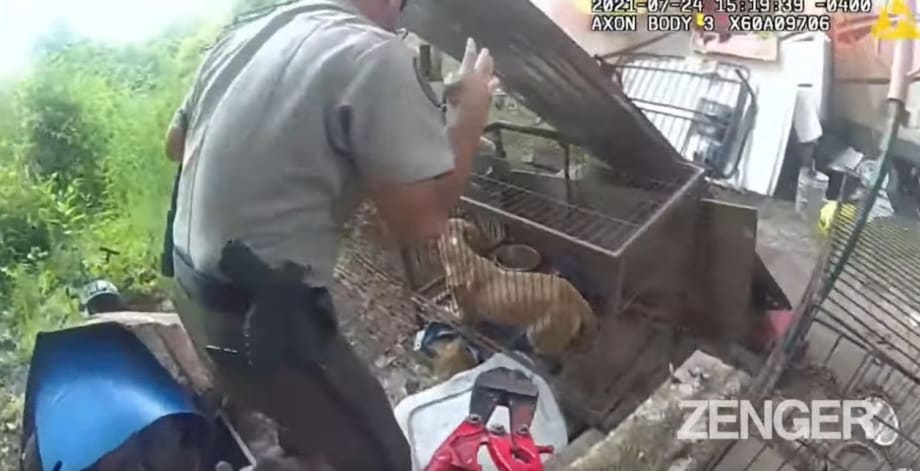 GA Deputies Rescue Dogs from Trailer Fire