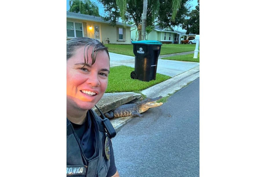 FL Officer Photobombed by Alligator in Storm Drain