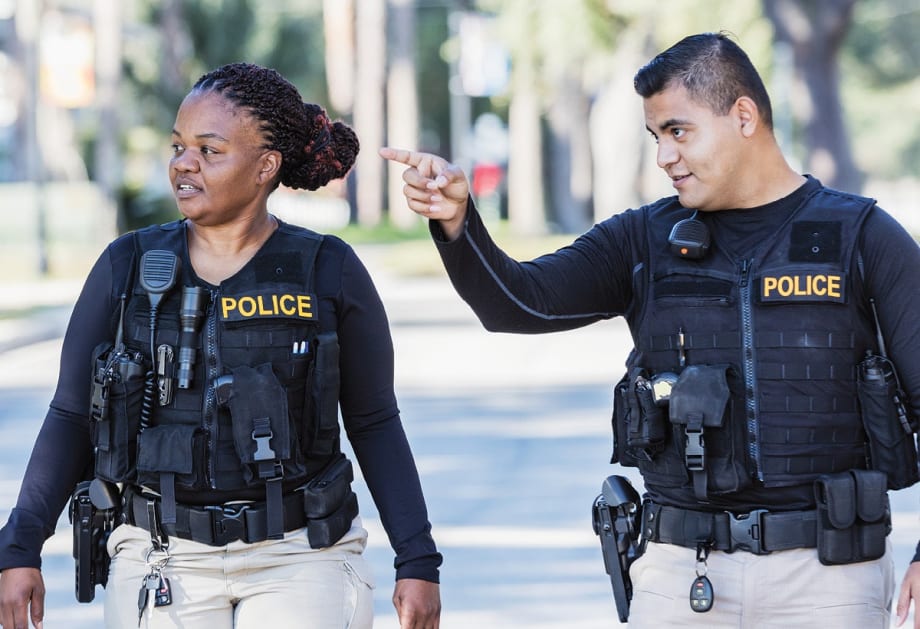 5 Elements of a Professional Agency