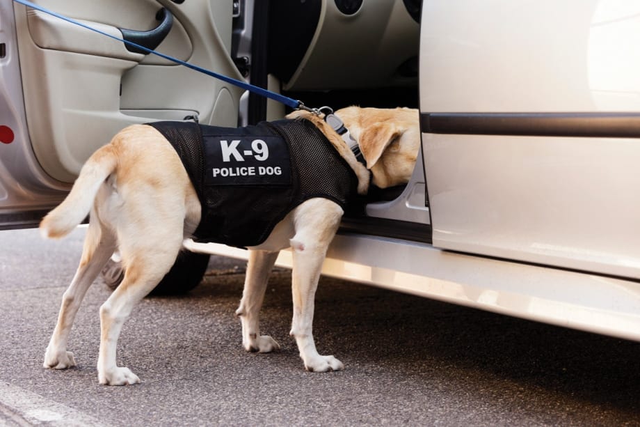 When Can You Extend a Traffic Stop?