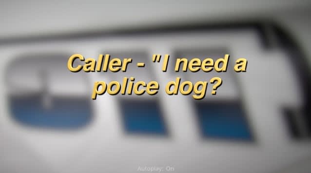 Ohio Man Called 911 Asking for a Police Dog to Help Him Find Stolen Heroin