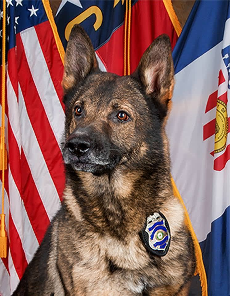 North Carolina K-9 Suddenly Dies
