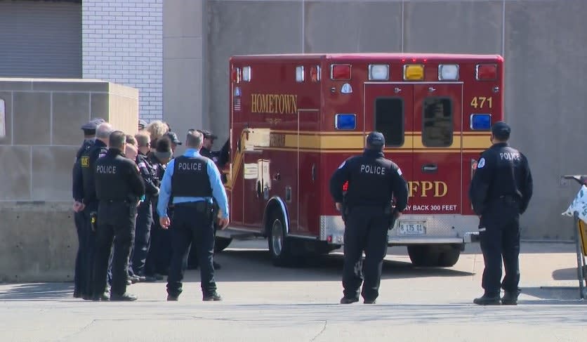 Illinois Officer Struck by Vehicle and Killed