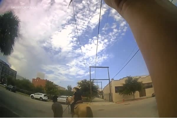 Video: Texas Police Release Body Camera Footage of Controversial Arrest