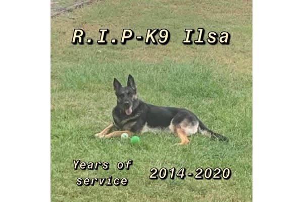South Carolina Department Mourns Death of K-9