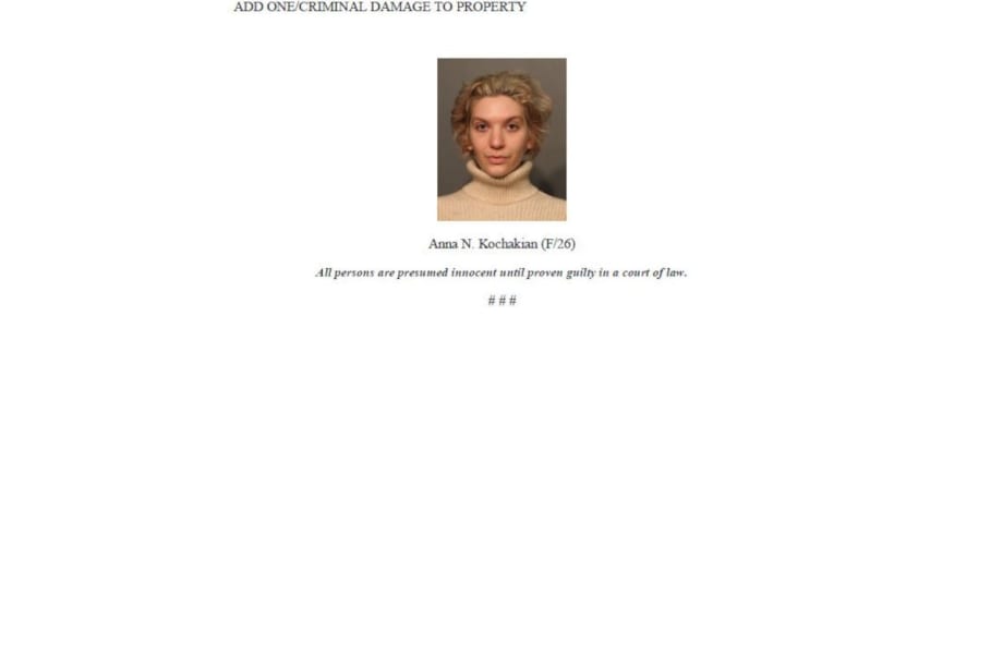 Woman Charged with Vandalizing Slain Chicago Officer's Memorial