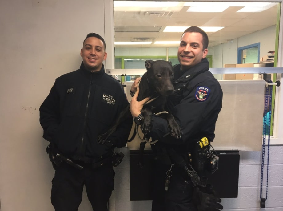 NYPD Officer Adopts Dog He Saved from Freezing Rain