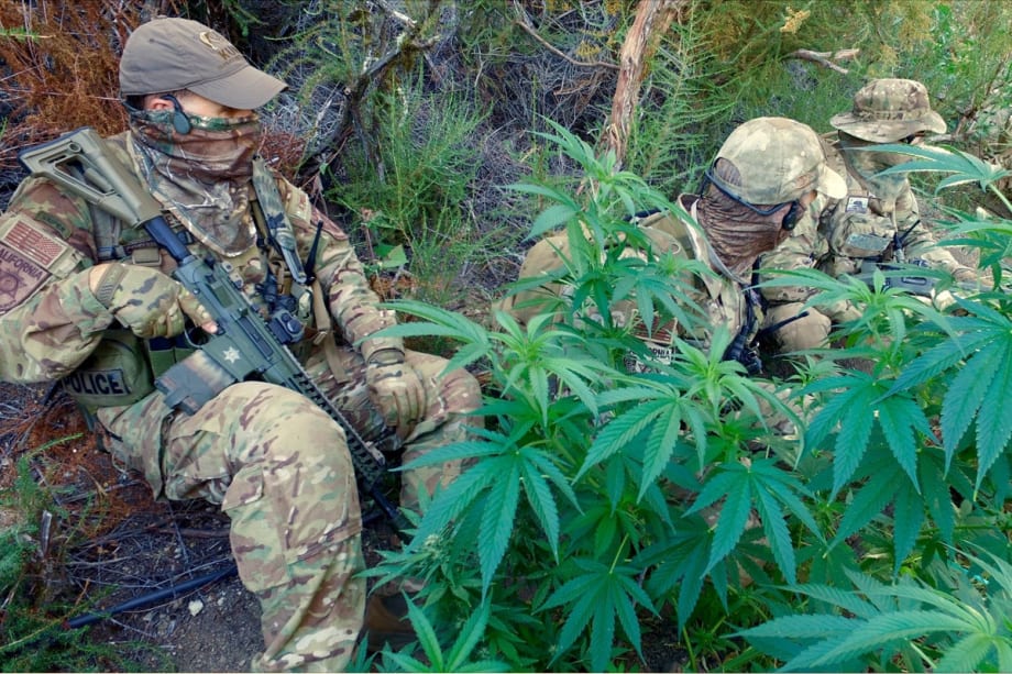 How a California Conservation Officer Took On Illegal Cartel Grow Operations