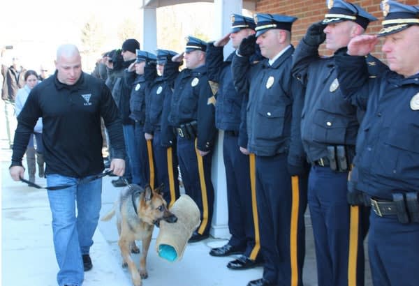 Veteran New Jersey K-9 Saluted by Officers as He Takes Last Steps
