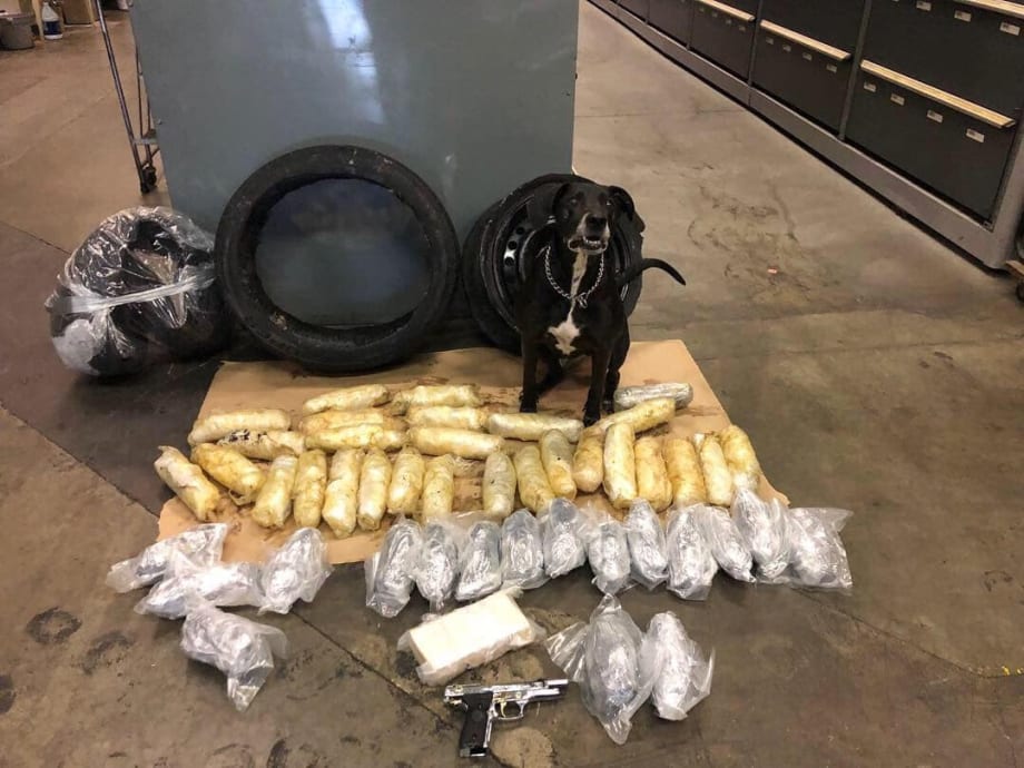 California K-9 Sniffs Out Massive Stash of Narcotics