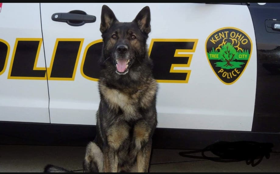 Retired Ohio K-9 Passes Away