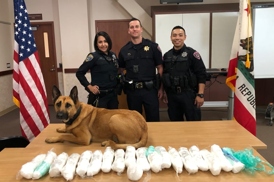 California K-9 Sniffs Out 23 Pounds of Methamphetamine