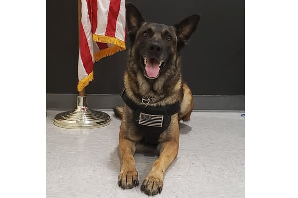 Ohio K-9 Finds Missing 3-Year-Old in Just 10 Minutes