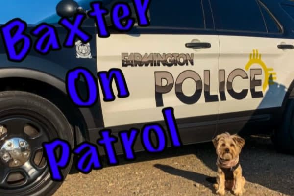 New Mexico Department Welcomes New Support Dog