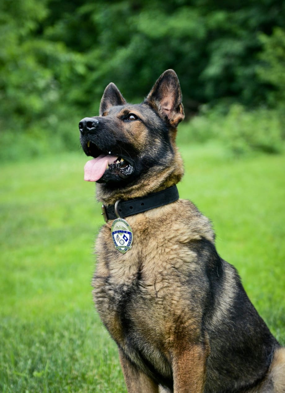 Kentucky K-9 Dies of Sudden Illness