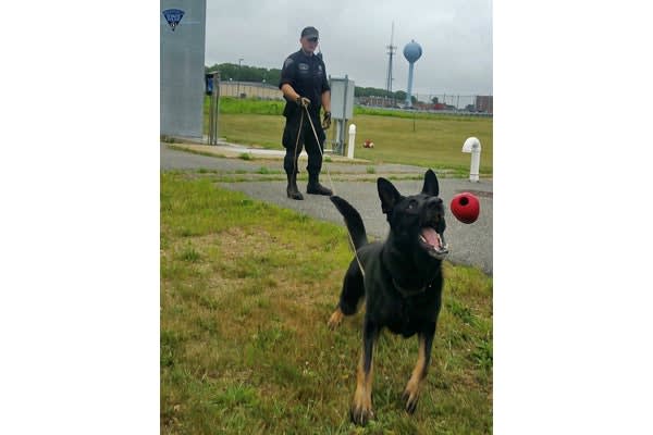 Massachusetts State Police K-9 Locates 2 Missing Girls
