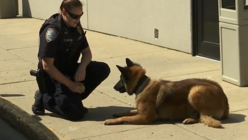 North Dakota Department Welcomes New K-9