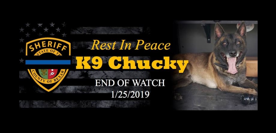 Texas K-9 Killed by Wanted Suspect Following Pursuit