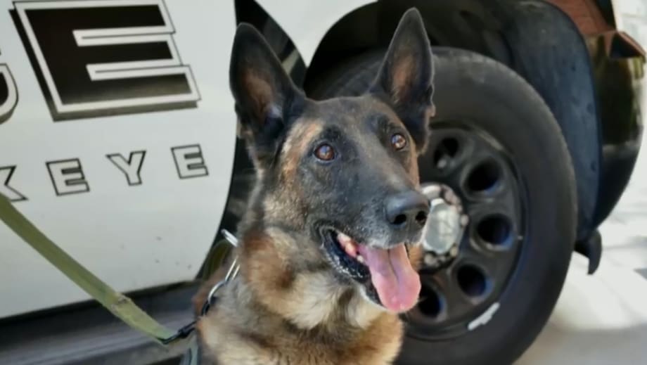Retired Arizona K-9 Dies at Age 12