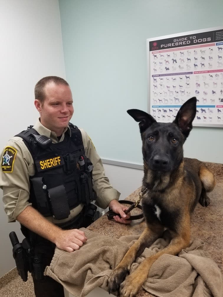North Carolina K-9 Spooked by Fireworks on July Fourth Found Safe