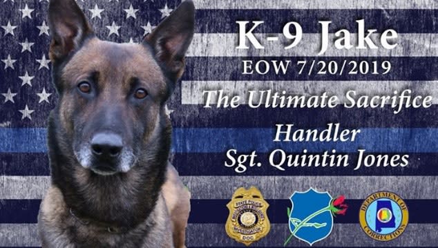 Alabama K-9 Dies from Exposure to Synthetic Narcotic