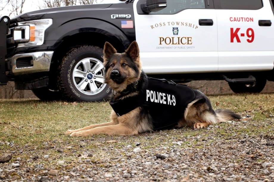 Pennsylvania Agency Mourns Loss of Beloved K-9