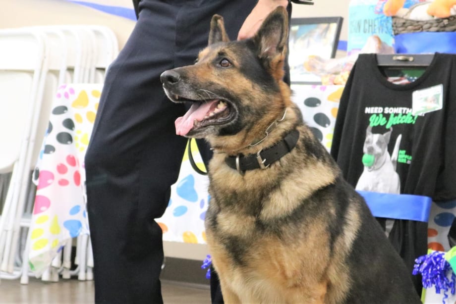 Video: South Carolina Agency Celebrates Retirement of Beloved K-9