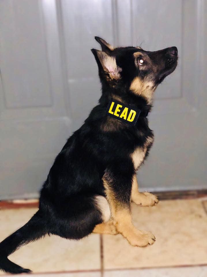 Oklahoma Department Posts Adorable Picture of New K-9 Pup