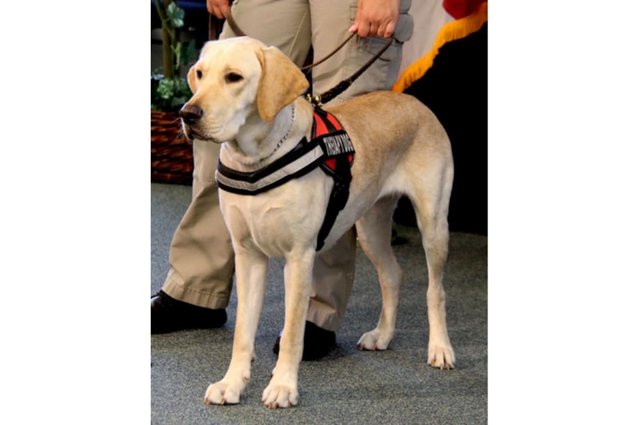 Florida Department Welcomes First Therapy Dog