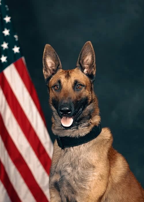 California Department Welcomes New K-9 to Ranks