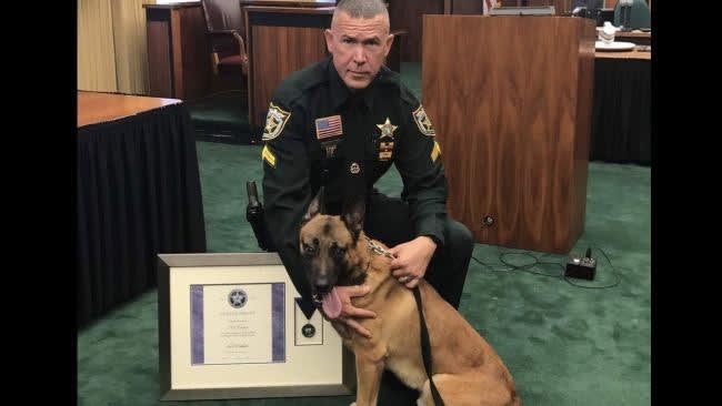 FL K-9 Receives Medal for Taking Bullet Meant for Handler