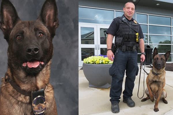 Indiana K-9 Killed While Tracking 2 Suspects Following Vehicle Pursuit