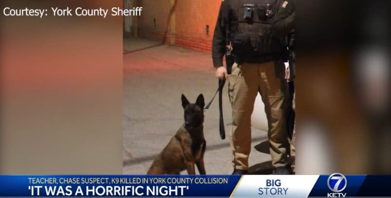 Nebraska Sheriff's K-9, Innocent Motorist, and Suspect Killed in Train Crash