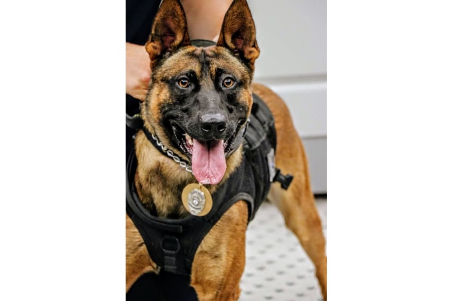 Virginia Department Welcomes Newly Sworn Officers, K-9