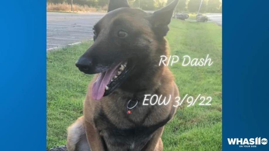 Armed Shoplifting Suspect Shoots and Kills K-9
