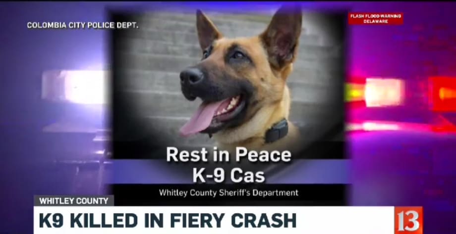 Indiana K-9 Killed in Pursuit Crash