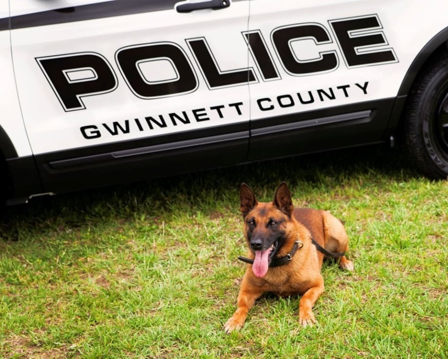 Georgia K-9 Dies After Chasing Suspect in 90-degree Weather