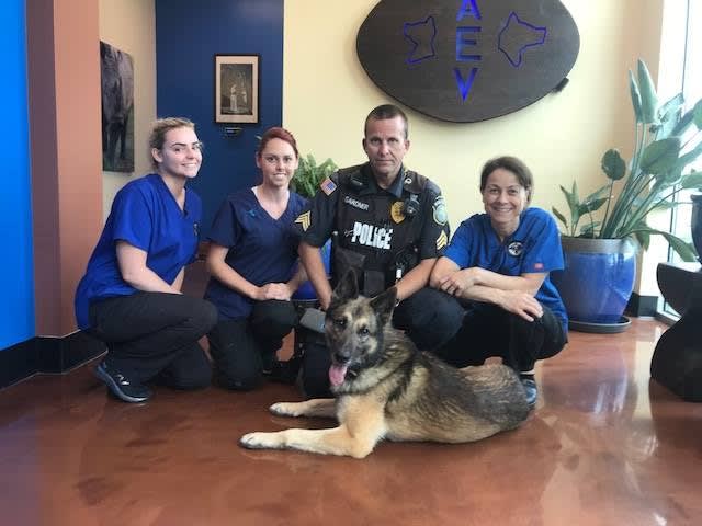 Free Eye Exams to be Available to K-9s in May