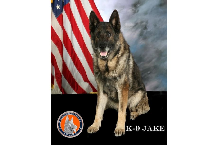 New York Police Department Mourns Death of K-9