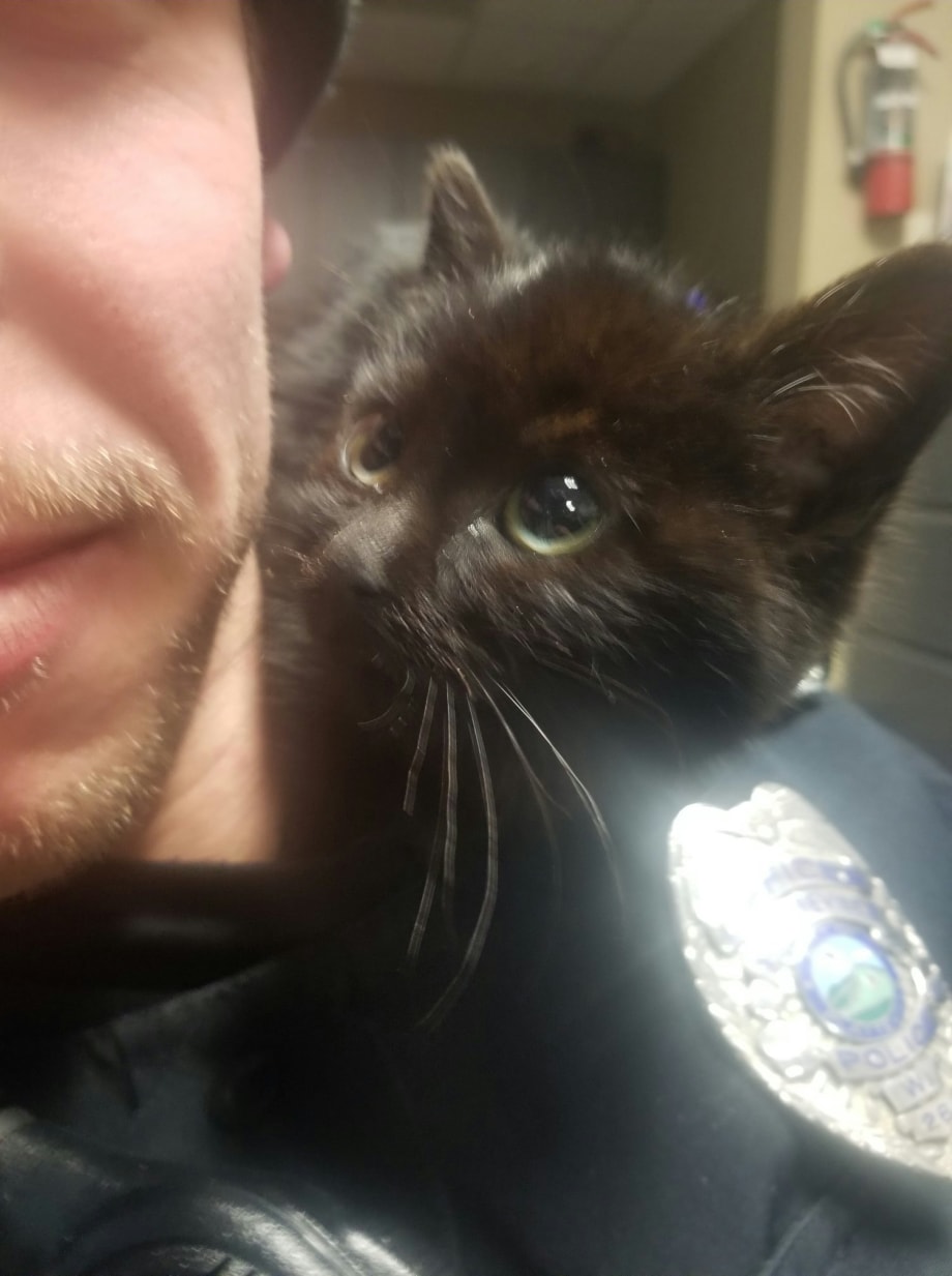 Wisconsin Officer Adopts Kitten Rescued from Snowy Ditch