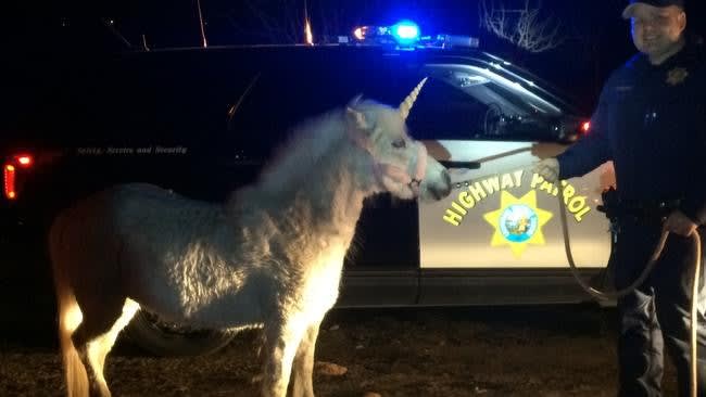 California Troopers Capture Runaway Unicorn