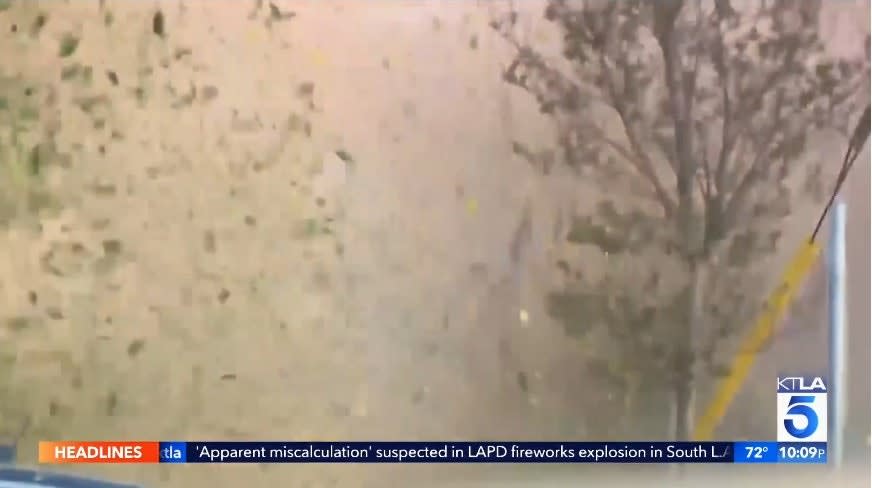 10 LAPD Officers, ATF Agent and 6 Others Injured in Controlled Detonation Failure