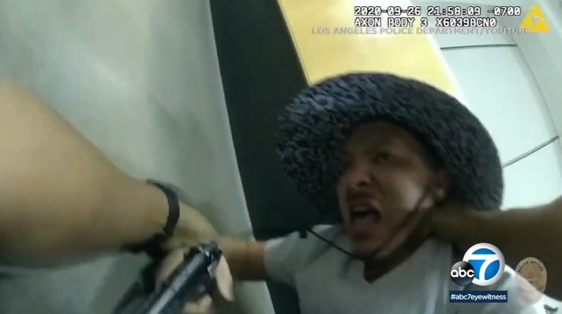 LAPD Releases Body Camera Video of Gun Grab Attack, "Pistol-Whipping" in Station