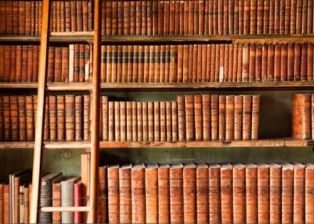 Assessing the Need for Needs Assessment in Police Training