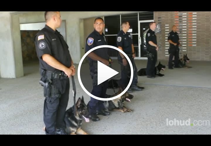 Video: Rookie Police K-9 Locates Missing New York Teen