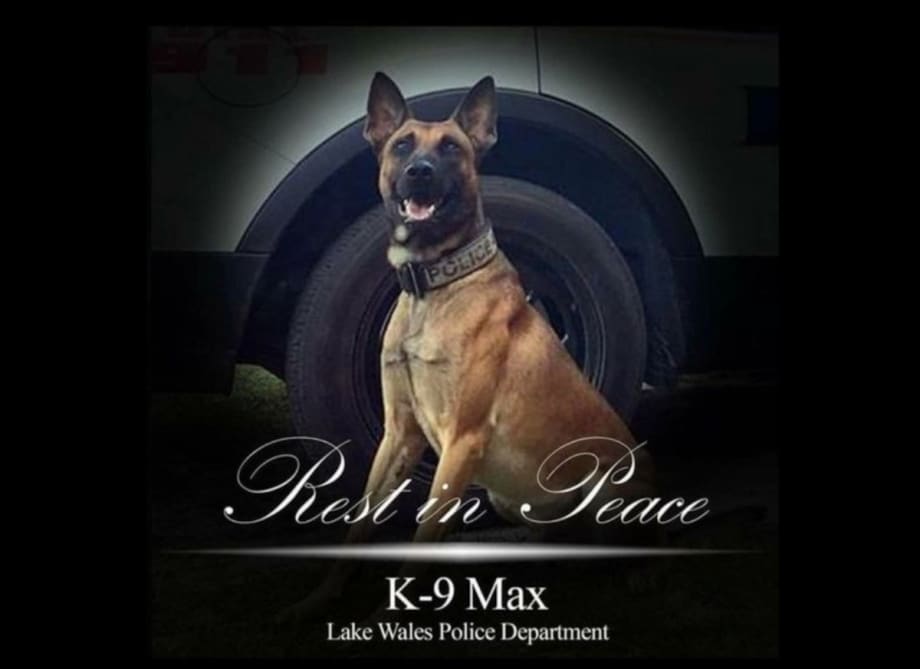 FL Police Dog Shot and Killed, Cops Return Fire Killing Shooter