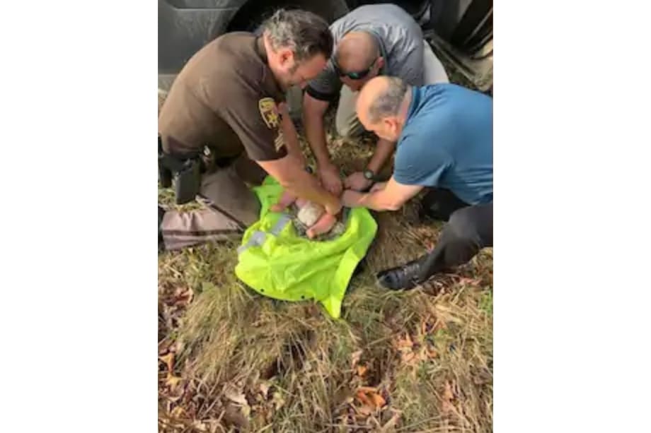Michigan Deputies Rescue Baby Abandoned in Woods