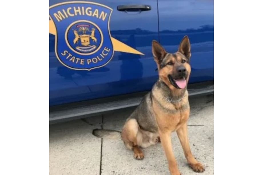 Michigan State Police K-9 Killed in Crash
